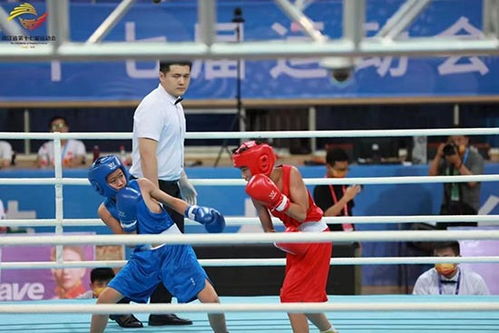 浙江省運動會拳擊比賽圓滿落幕，拳擊運動賽事組織再上新臺階