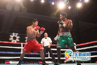 2015世界拳擊聯(lián)賽三亞落幕 中國(guó)龍不敵墨西哥勇士，拳擊賽事組織迎發(fā)展契機(jī)